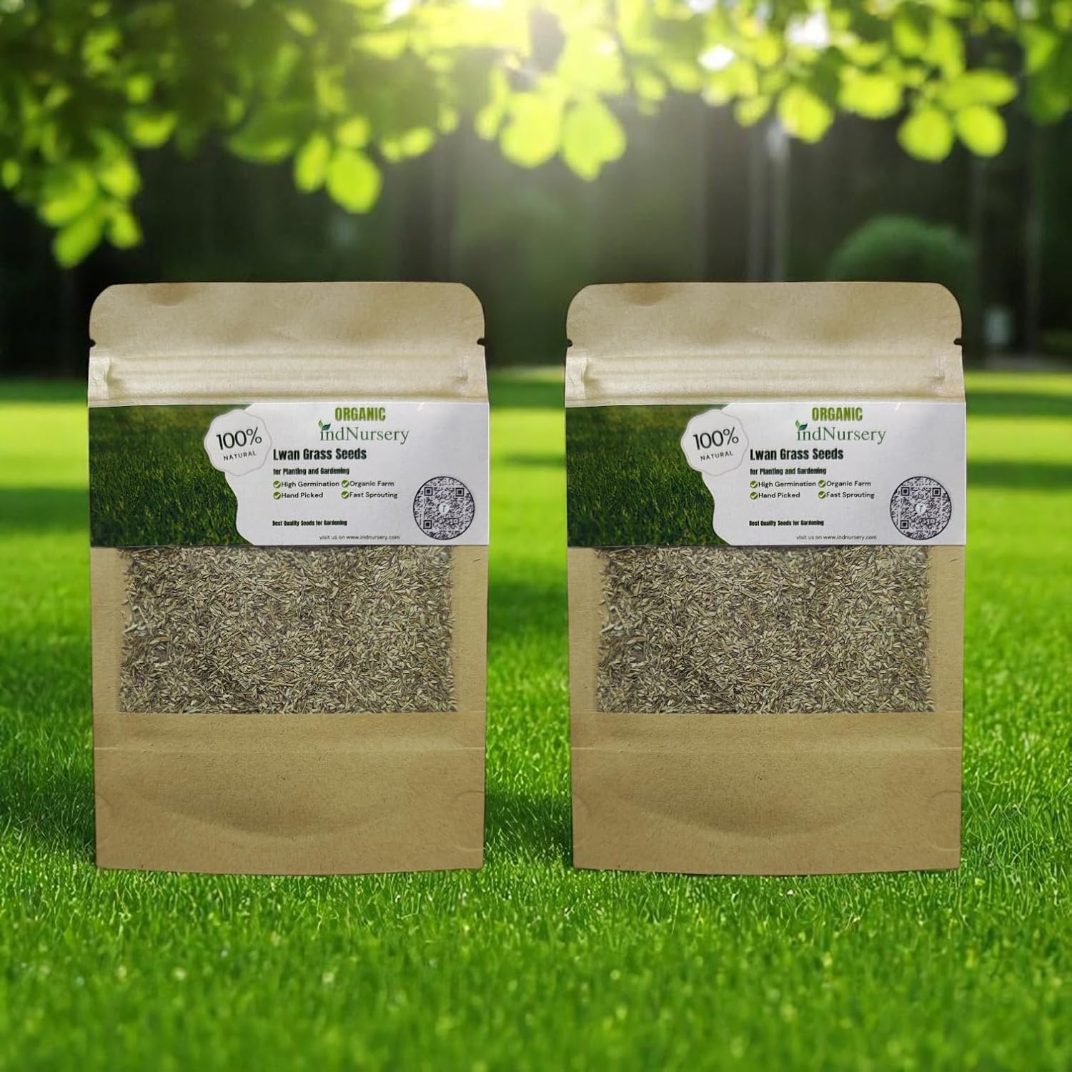 IndNursery Lawn Grass Seeds (Green, Pack of 10 gms) (2 Packet Combo)